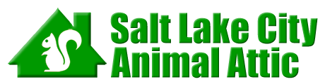 Salt Lake City Animal Attic